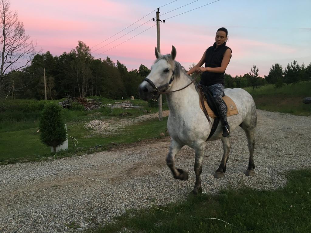 Namelis Salia Vynuogyno Villa Budziliai Dış mekan fotoğraf